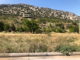 Οικόπεδο 603 τ.μ.