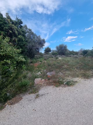 Οικόπεδο 250τ.μ.