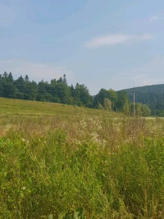 Продам земельну ділянку по вул. С. Бандери
