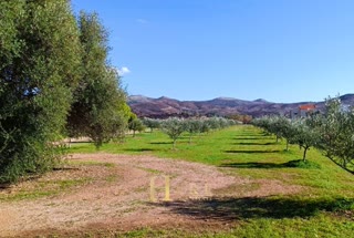 Αγροτεμάχιο 20000τ.μ.