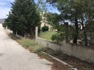 Οικόπεδο 1300τ.μ.