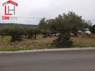 Οικόπεδο 753τ.μ.
