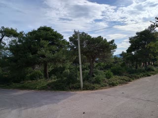 2030 m² Plot