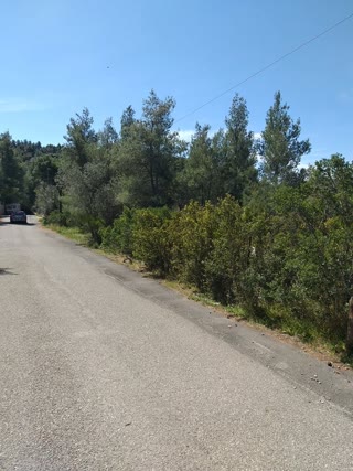 Οικόπεδο 540τ.μ.