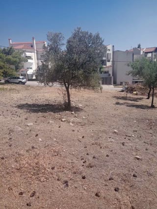 Οικόπεδο 517τ.μ.