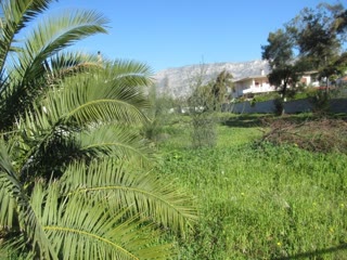 1000 m² Plot