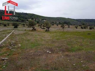 Οικόπεδο 644τ.μ.