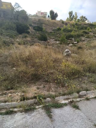 Οικόπεδο 1024τ.μ.