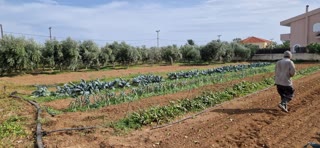 Αγροτεμάχιο 5000 τ.μ.