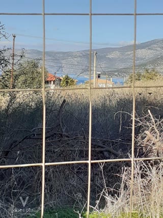 Οικόπεδο 503τ.μ.