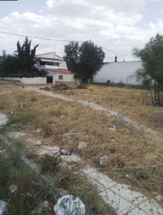 Οικόπεδο 185τ.μ.