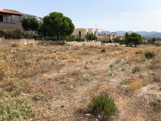 Οικόπεδο 7500 τ.μ.