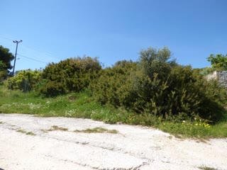 Οικόπεδο 281τ.μ.