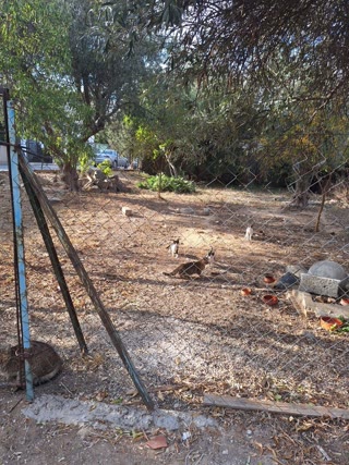 Οικόπεδο 270 τ.μ.