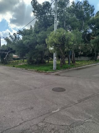 Οικόπεδο 500τ.μ.