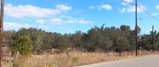 Οικόπεδο 1254τ.μ.