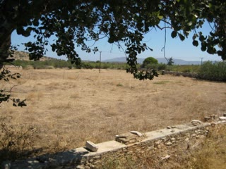 15000 m² Plot