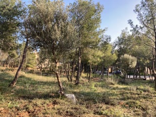 Οικόπεδο 495τ.μ.