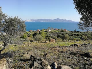 4868 m² Parcel