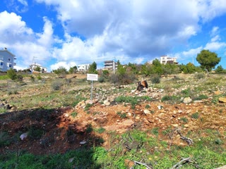 Οικόπεδο 497τ.μ.