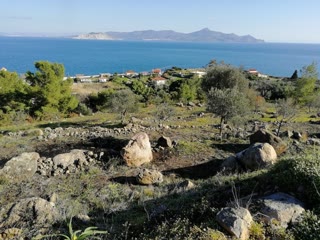 4868 m² Parcel