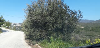 Οικόπεδο 1000τ.μ.