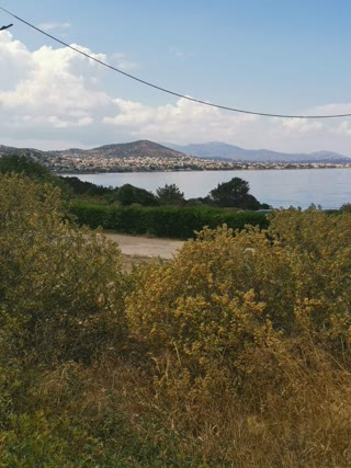 Οικόπεδο 900τ.μ.