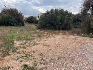 1500 τ.μ. Οικόπεδο