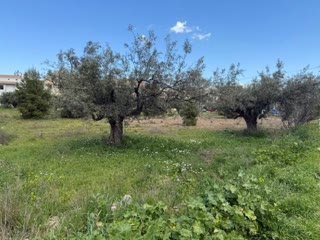 Οικόπεδο 960τ.μ.