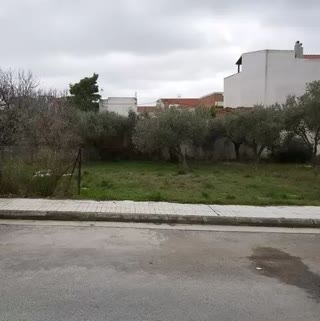 Οικόπεδο 727 τ.μ.