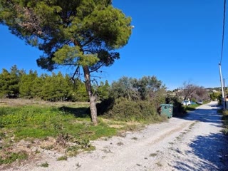 Αγροτεμάχιο 4002 τ.μ.