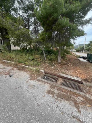 Οικόπεδο 250τ.μ.