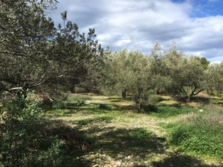 Οικόπεδο 29000 τ.μ.