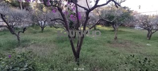 Οικόπεδο 754τ.μ.