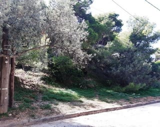 Οικόπεδο 1050τ.μ.