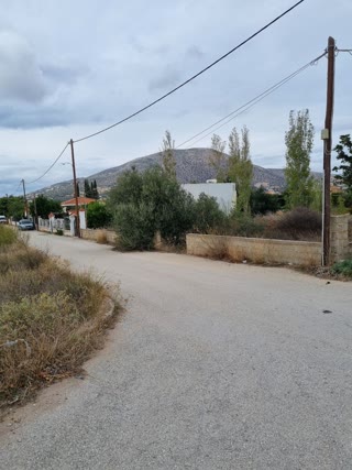 602 m² Plot