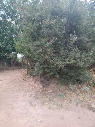 Οικόπεδο 1000τ.μ.