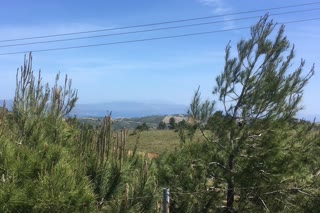 Αγροτεμάχιο 4500 τ.μ.