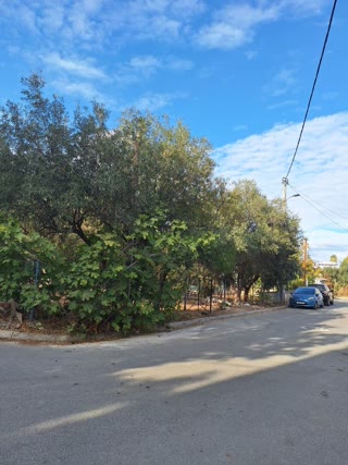 Οικόπεδο 270 τ.μ.