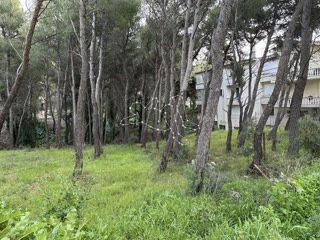 Участок 1055 м²