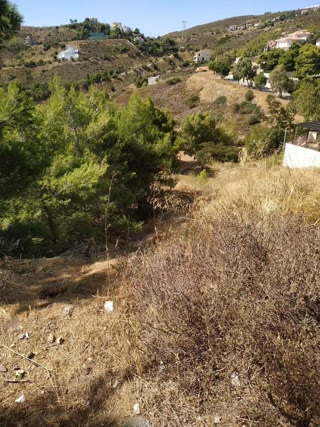 Οικόπεδο 1481τ.μ.