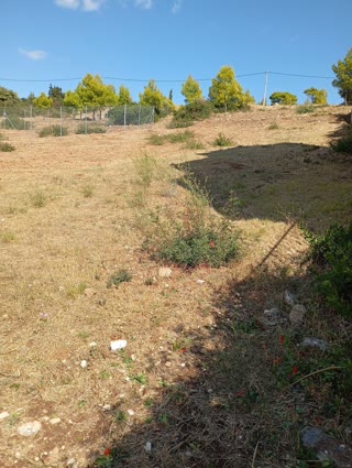 Οικόπεδο 570τ.μ.
