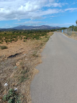 Αγροτεμάχιο 6395 τ.μ.