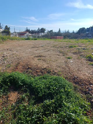 Οικόπεδο 293τ.μ.