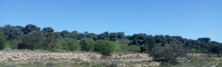 Αγροτεμάχιο 3105 τ.μ.