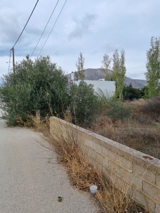 Οικόπεδο 455τ.μ.