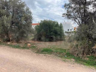 1500 τ.μ. Οικόπεδο
