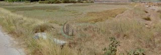 Αγροτεμάχιο 4300 τ.μ.