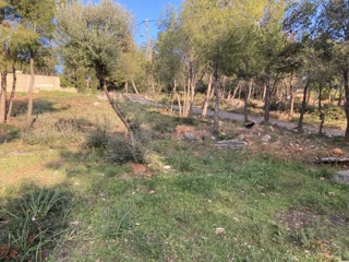 Οικόπεδο 495τ.μ.