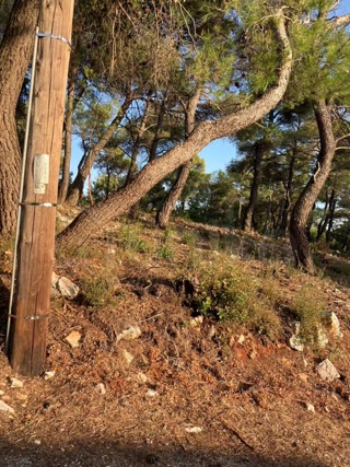 Οικόπεδο 1049 τ.μ.